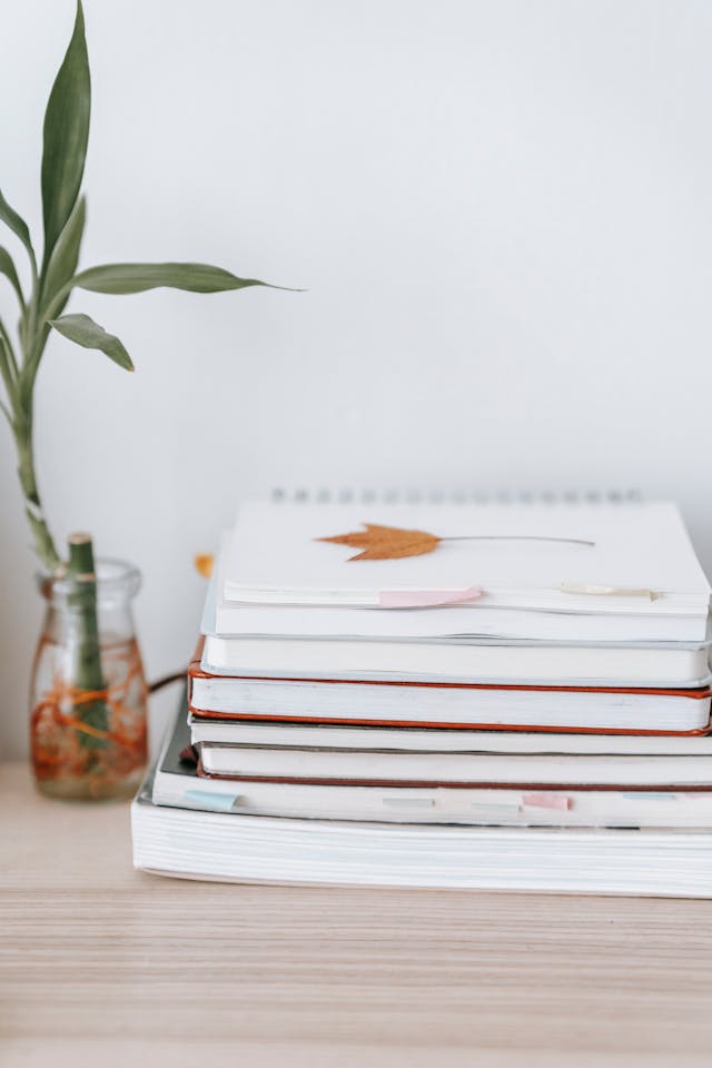 Dracaena Care Guide