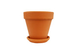 Terra Cotta Planters