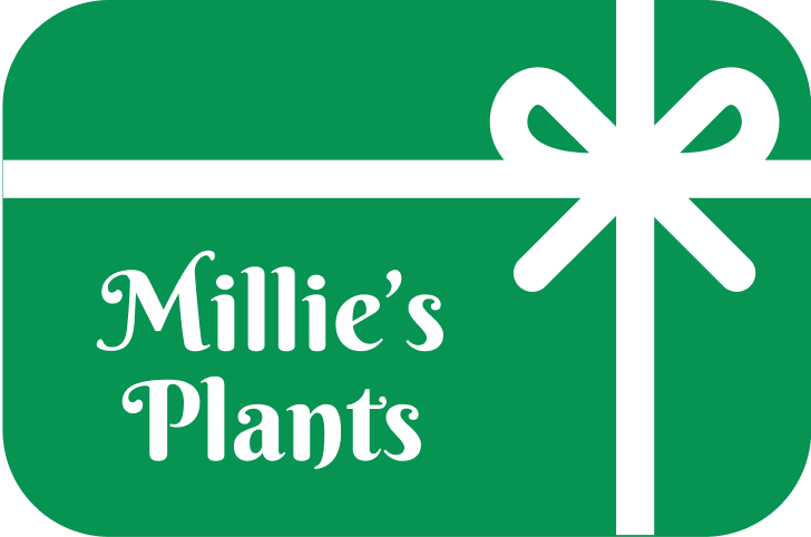 Millie’s Plants Gift Card