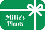 Millie’s Plants Gift Card