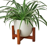 Ceramic Contour Pot with Wood Stand - 7 Inch